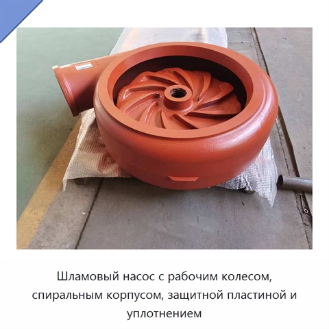 Шламовый насос с рабочим колесом, спиральным корпусом, защитной пластиной и уплотнением