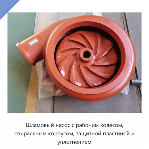 Шламовый насос с рабочим колесом, спиральным корпусом, защитной пластиной и уплотнением