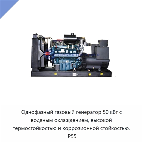 Однофазный газовый генератор 50 кВт с водяным охлаждением, высокой термостойкостью и коррозионной стойкостью, IP55