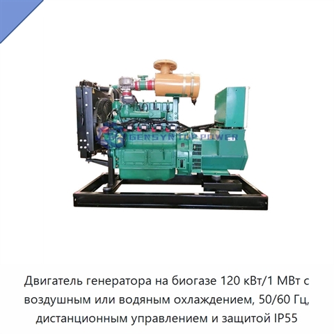 Двигатель генератора на биогазе 120 кВт/1 МВт с воздушным или водяным охлаждением, 50/60 Гц, дистанционным управлением и защитой IP55
