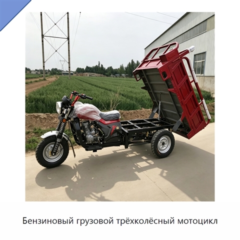 Бензиновый грузовой трёхколёсный мотоцикл