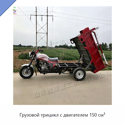 Грузовой трицикл с двигателем 150 см³