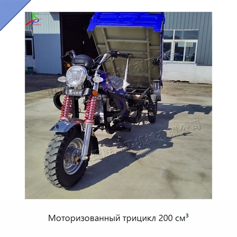 Моторизованный трицикл 200 см³