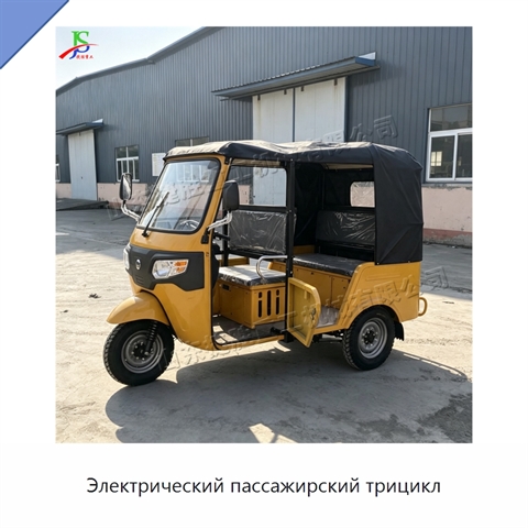 Электрический пассажирский трицикл