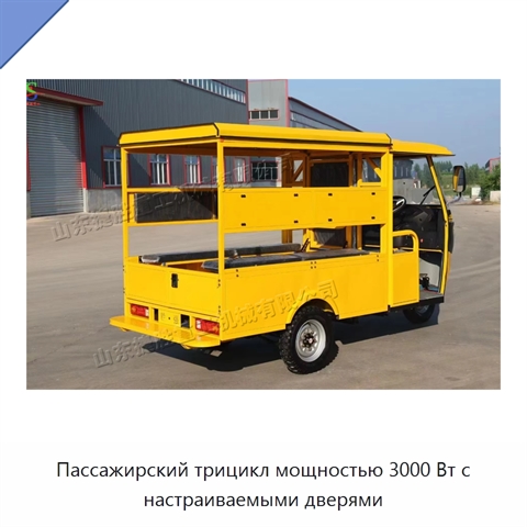 Пассажирский трицикл мощностью 3000 Вт с настраиваемыми дверями