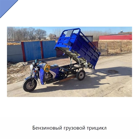 Бензиновый грузовой трицикл
