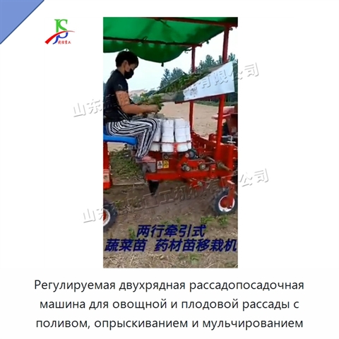 Регулируемая двухрядная рассадопосадочная машина для овощной и плодовой рассады с поливом, опрыскиванием и мульчированием