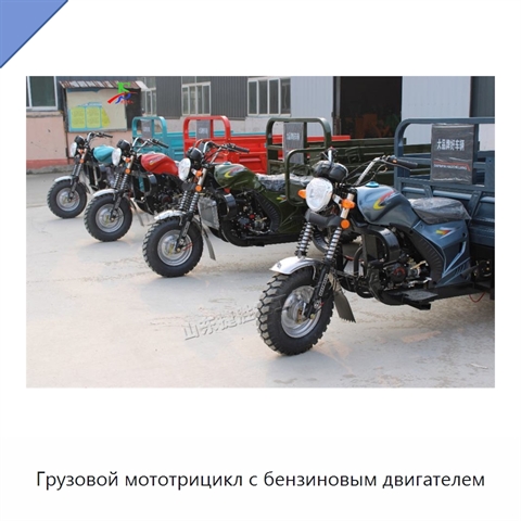 Грузовой мототрицикл с бензиновым двигателем