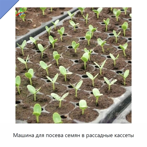 Машина для посева семян в рассадные кассеты