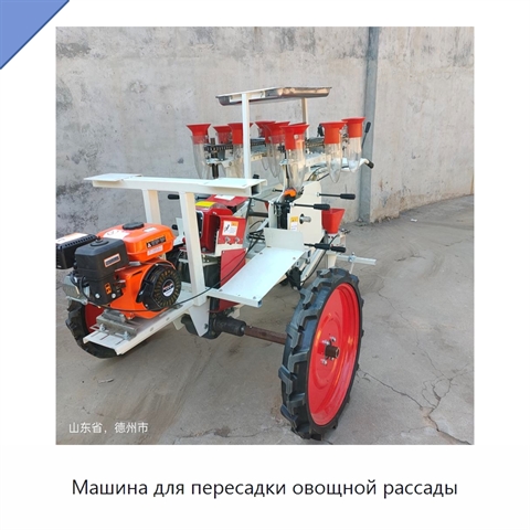 Машина для пересадки овощной рассады