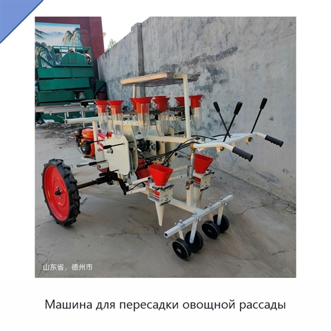 Машина для пересадки овощной рассады
