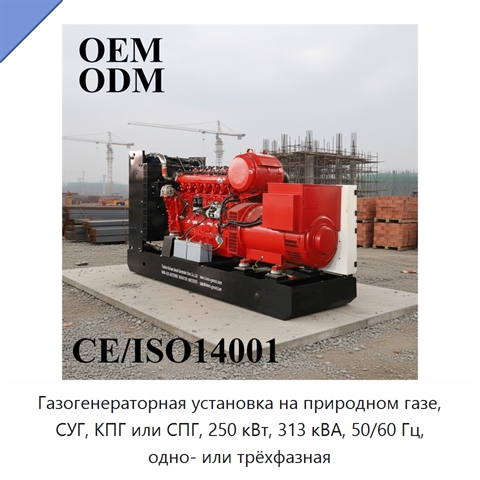 Газогенераторная установка на природном газе, СУГ, КПГ или СПГ, 250 кВт, 313 кВА, 50/60 Гц, одно- или трёхфазная