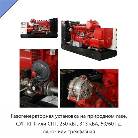 Газогенераторная установка на природном газе, СУГ, КПГ или СПГ, 250 кВт, 313 кВА, 50/60 Гц, одно- или трёхфазная