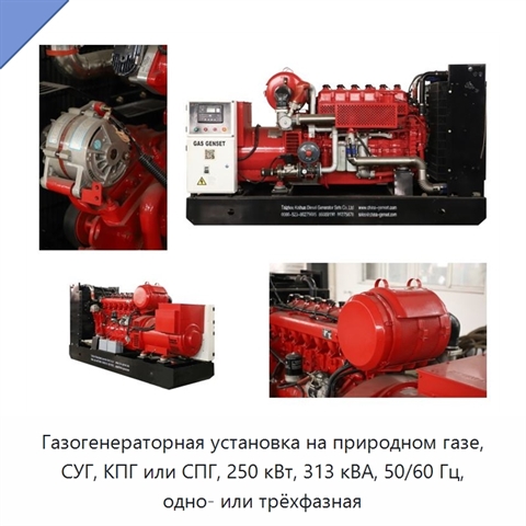 Газогенераторная установка на природном газе, СУГ, КПГ или СПГ, 250 кВт, 313 кВА, 50/60 Гц, одно- или трёхфазная