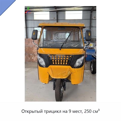 Открытый трицикл на 9 мест, 250 см³