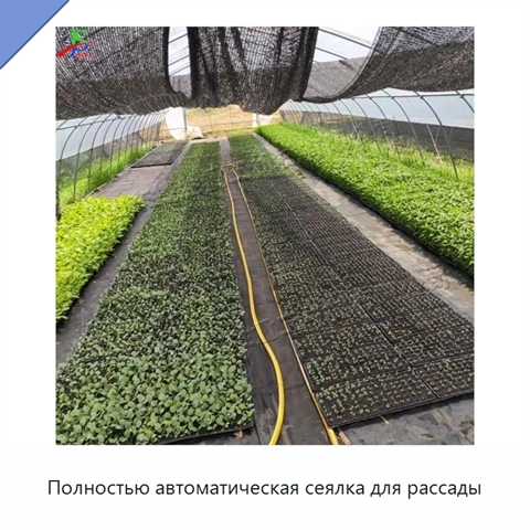 Полностью автоматическая сеялка для рассады