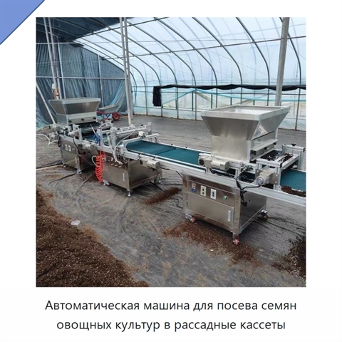 Автоматическая машина для посева семян овощных культур в рассадные кассеты