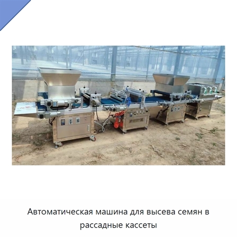 Автоматическая машина для высева семян в рассадные кассеты