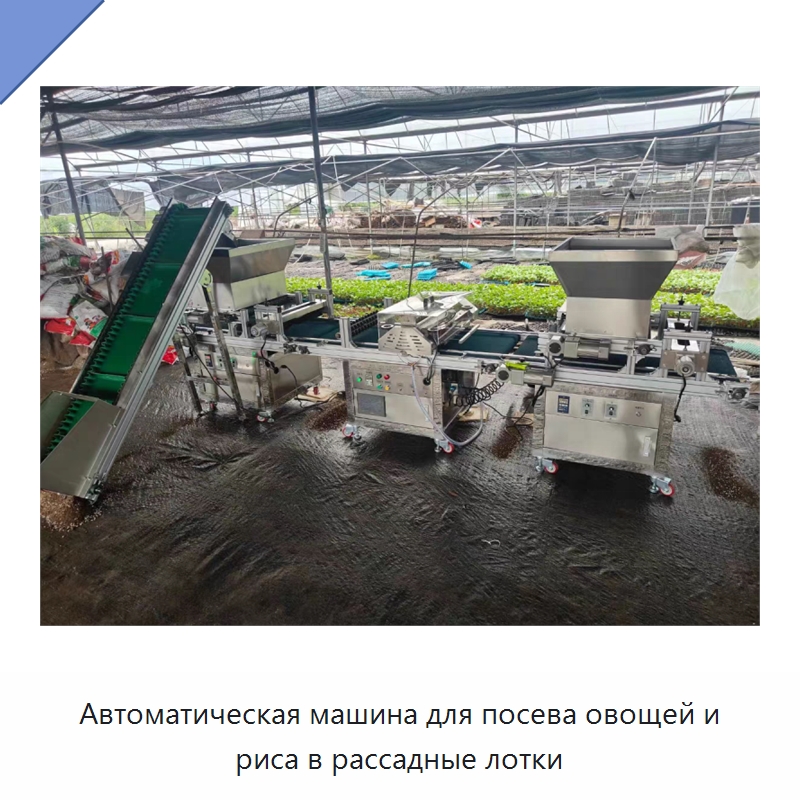 Автоматическая машина для посева овощей и риса в рассадные лотки — Сеялки и рассадопосадочные машины