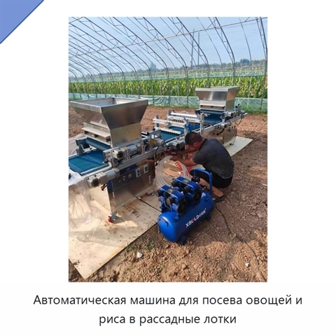 Автоматическая машина для посева овощей и риса в рассадные лотки