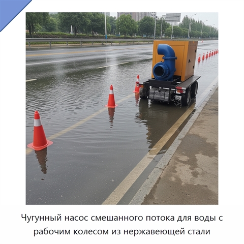 Чугунный насос смешанного потока для воды с рабочим колесом из нержавеющей стали