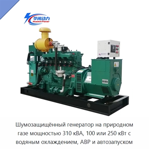 Шумозащищённый генератор на природном газе мощностью 310 кВА, 100 или 250 кВт с водяным охлаждением, АВР и автозапуском