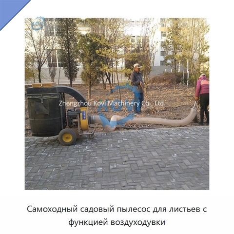 Самоходный садовый пылесос для листьев с функцией воздуходувки