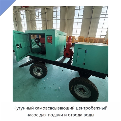 Чугунный самовсасывающий центробежный насос для подачи и отвода воды