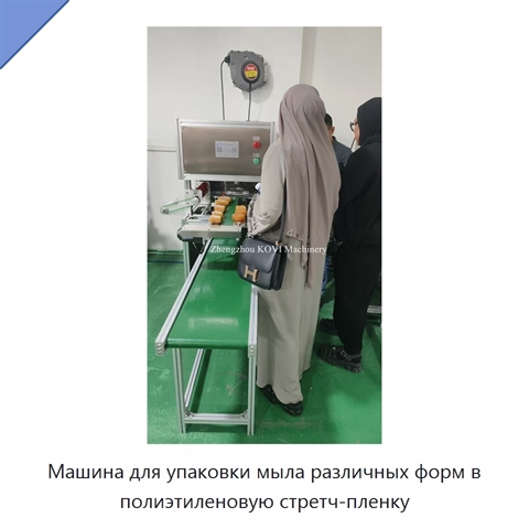 Машина для упаковки мыла различных форм в полиэтиленовую стретч-пленку
