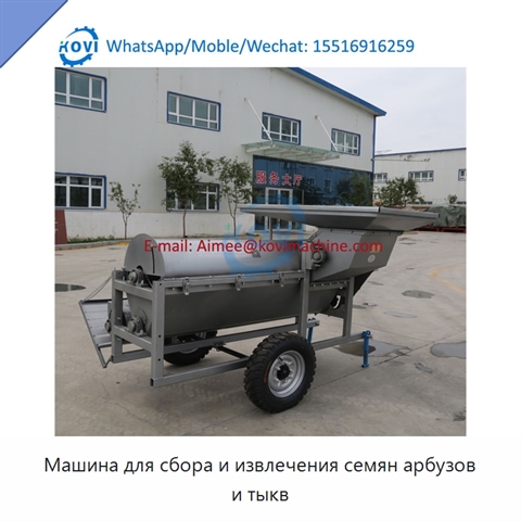 Машина для сбора и извлечения семян арбузов и тыкв
