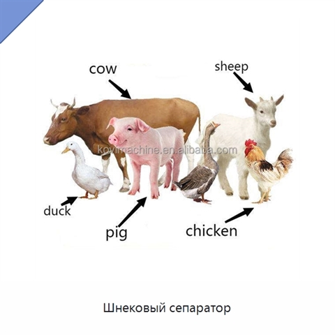 Шнековый сепаратор