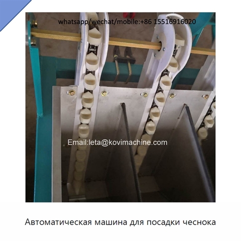 Автоматическая машина для посадки чеснока