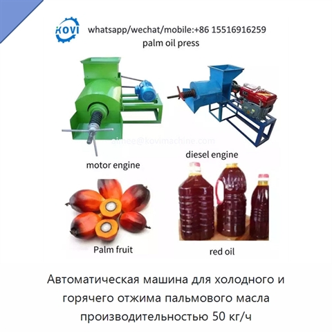 Автоматическая машина для холодного и горячего отжима пальмового масла производительностью 50 кг/ч