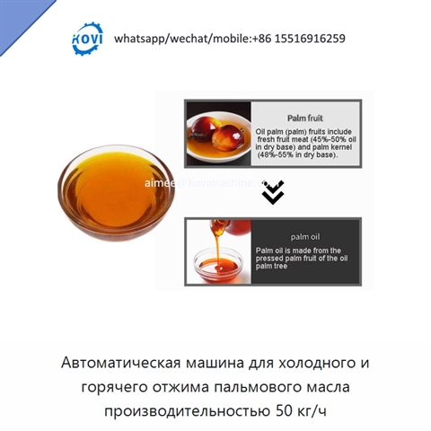 Автоматическая машина для холодного и горячего отжима пальмового масла производительностью 50 кг/ч