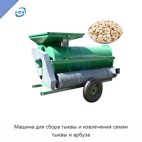 Машина для сбора тыквы и извлечения семян тыквы и арбуза
