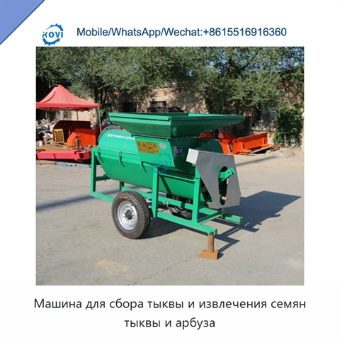 Машина для сбора тыквы и извлечения семян тыквы и арбуза