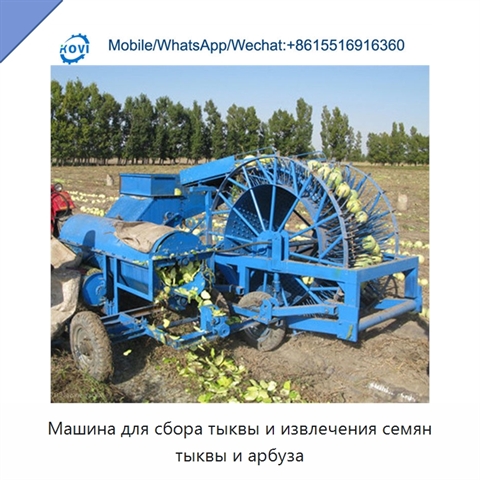 Машина для сбора тыквы и извлечения семян тыквы и арбуза