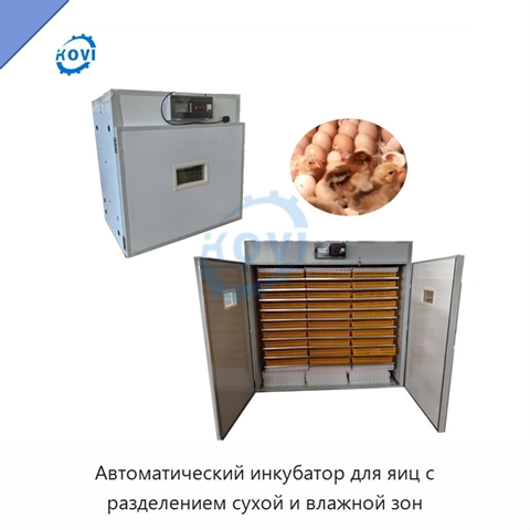 Автоматический инкубатор для яиц с разделением сухой и влажной зон