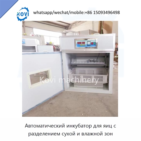 Автоматический инкубатор для яиц с разделением сухой и влажной зон