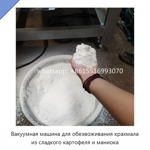 Вакуумная машина для обезвоживания крахмала из сладкого картофеля и маниока