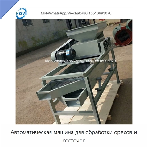 Автоматическая машина для обработки орехов и косточек