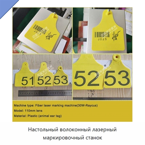 Настольный волоконный лазерный маркировочный станок