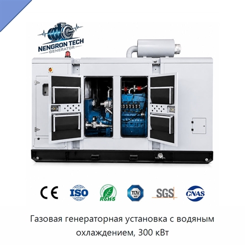 Газовая генераторная установка с водяным охлаждением, 300 кВт