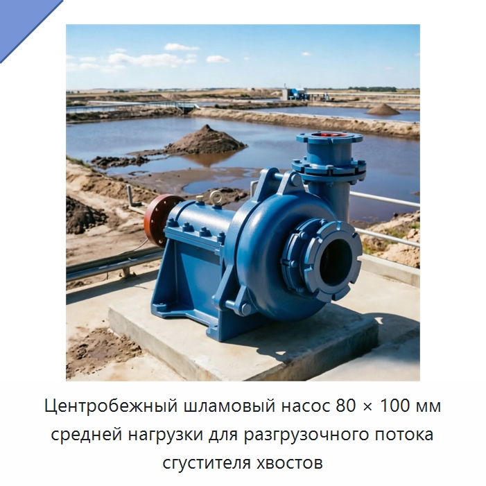 Центробежный шламовый насос 80 × 100 мм средней нагрузки для разгрузочного потока сгустителя хвостов — Насосы