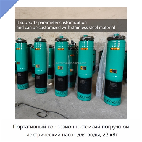 Портативный коррозионностойкий погружной электрический насос для воды, 22 кВт