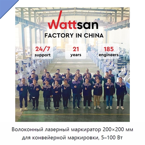Волоконный лазерный маркиратор 200×200 мм для конвейерной маркировки, 5–100 Вт