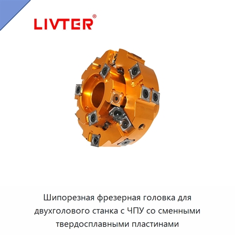 Шипорезная фрезерная головка для двухголового станка с ЧПУ со сменными твердосплавными пластинами