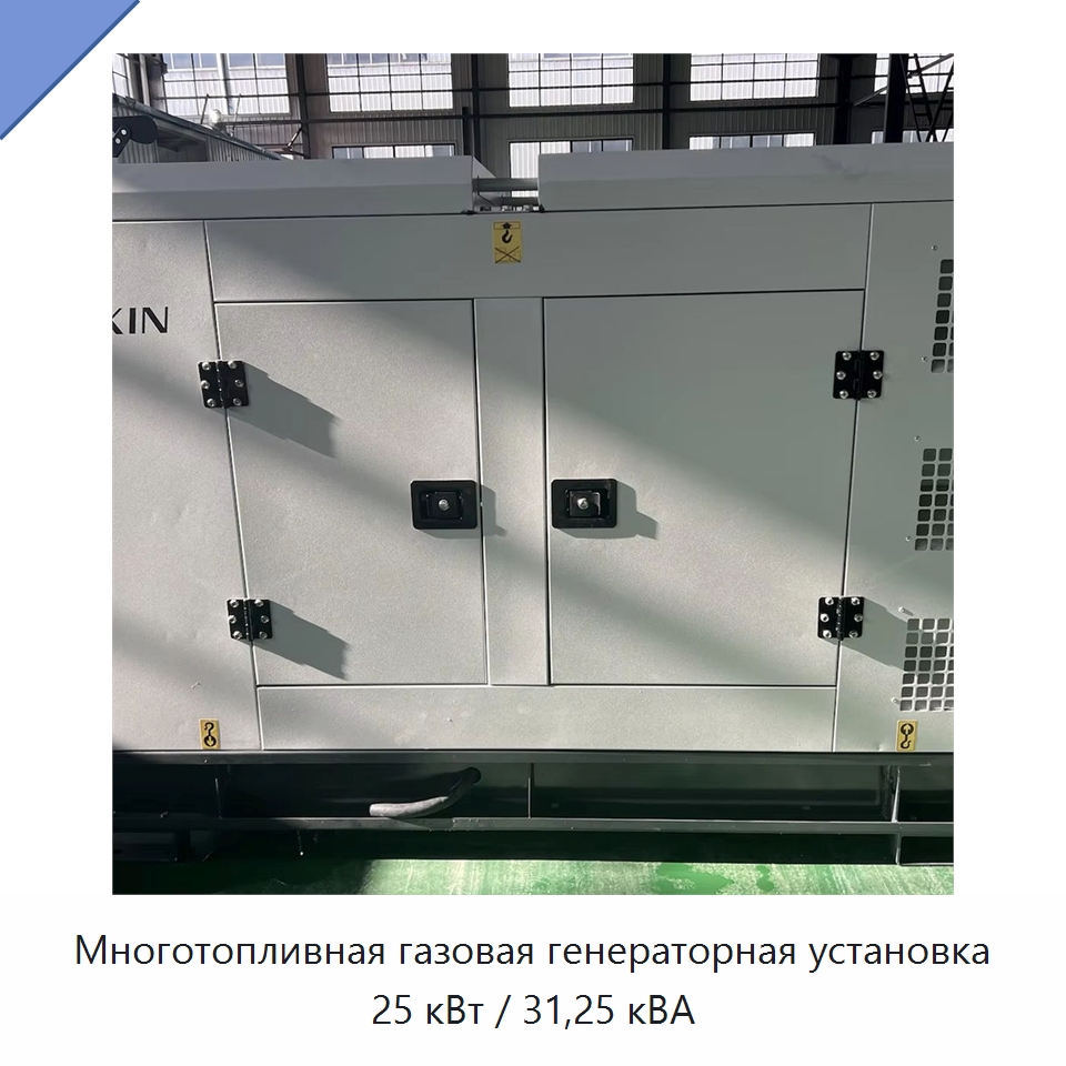 Многотопливная газовая генераторная установка 25 кВт / 31,25 кВА — Дизельные генераторы