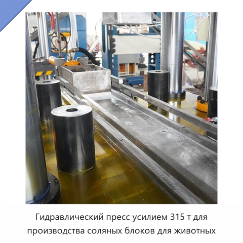 Гидравлический пресс усилием 315 т для производства соляных блоков для животных
