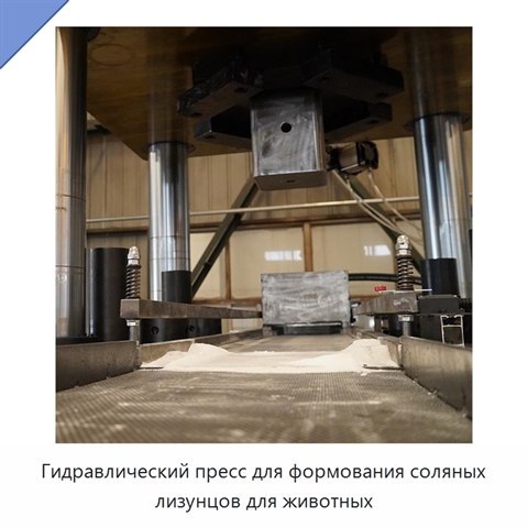 Гидравлический пресс для формования соляных лизунцов для животных